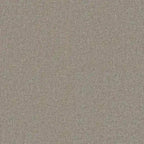 Amisco Perry Dining Chairs (Set of 2)