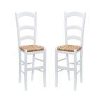 Pettis Side Chair (Set of 2) - N/A